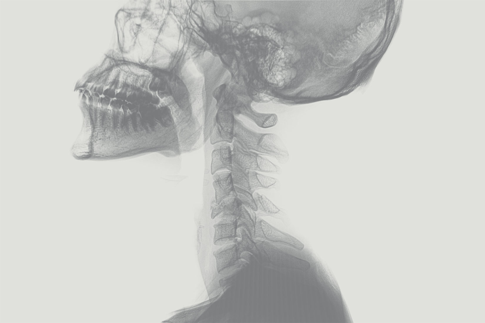 Headerbild Startseite